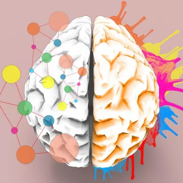 Symbolische Darstellung: Gehirnwindungen mit Zahnrädern und einem Fragezeichen, um das komplexe Zusammenspiel bei ADHS und den Wunsch nach Antworten für Eltern zu visualisieren.